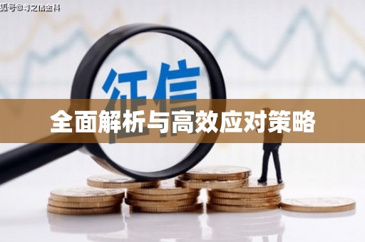 理县全面解析与高效应对策略