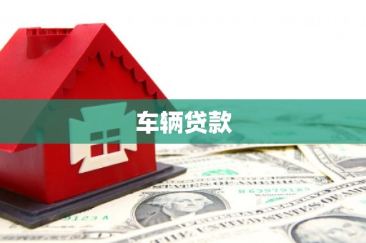 理县车辆贷款