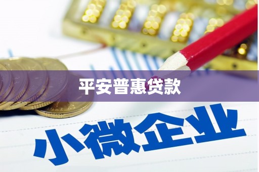 理县平安普惠贷款